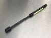 Rear gas strut, right - 70f395cf-12e6-4a37-8857-c22a9ac3c6b0.jpg