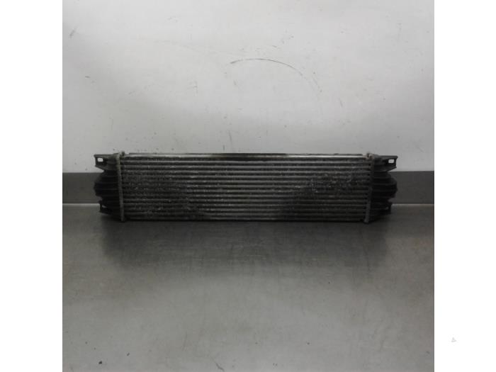 Gebruikte Intercooler Nissan Interstar (X70) 2.2 dCi 16V Euro III Prijs € 78,75 Margeregeling aangeboden door Japoto Parts B.V.