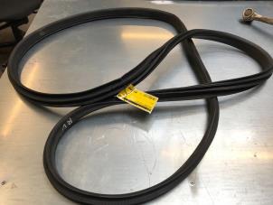 Gebruikte Deurrubber 4Deurs rechts-voor Tesla Model X P100D Prijs € 40,00 Margeregeling aangeboden door Poolman autodemontage