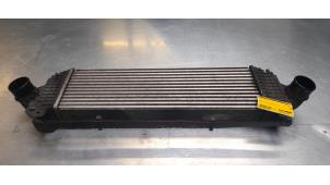 Gebruikte Intercooler Iveco New Daily V 35C17/C17D/S17, 40/45/50/60/70C17 Prijs € 90,75 Inclusief btw aangeboden door Poolman autodemontage