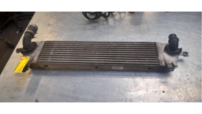 Gebruikte Intercooler Nissan Qashqai (J10) 2.0 dCi Prijs € 75,00 Margeregeling aangeboden door Poolman autodemontage