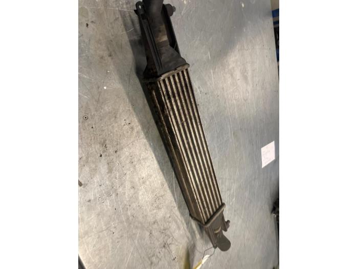 Gebruikte Intercooler Alfa Romeo MiTo (955) 1.3 JTDm 16V Eco Prijs € 20,00 Margeregeling aangeboden door Poolman autodemontage