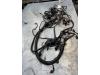 BMW 5 serie (F10) 530i 24V TwinPower Turbo Kabelboom motorruimte
