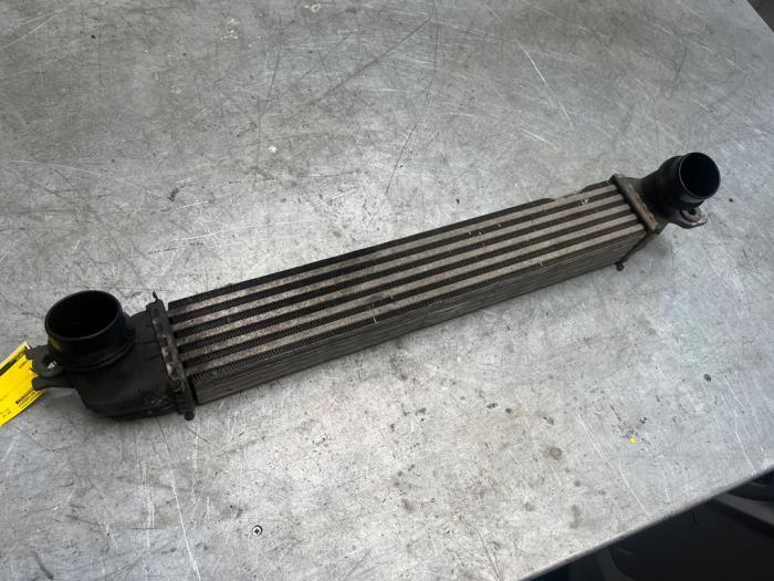 Gebruikte Intercooler Mini Countryman (R60) 2.0 Cooper D 16V Autom. Prijs € 30,00 Margeregeling aangeboden door Poolman autodemontage