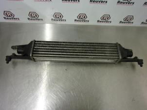 Gebruikte Intercooler Fiat Punto Evo (199) 1.3 JTD Multijet 85 16V Euro 5 Prijs € 35,00 Margeregeling aangeboden door Autorecycling Reuvers B.V.