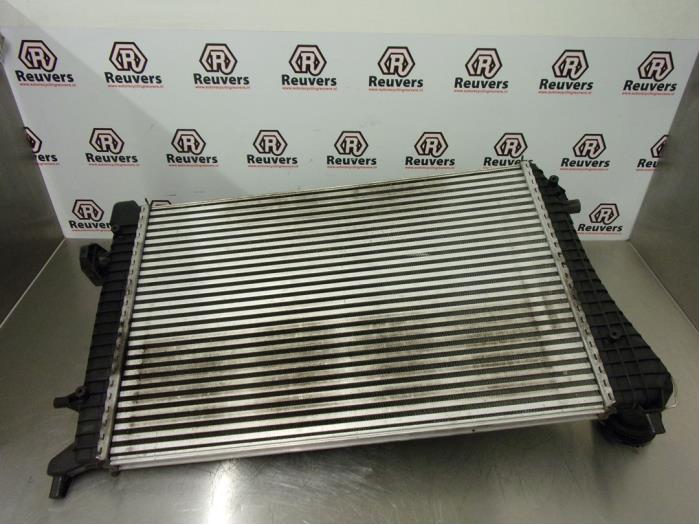 Gebruikte Intercooler Seat Altea XL (5P5) 1.9 TDI Prijs € 30,00 Margeregeling aangeboden door Autorecycling Reuvers B.V.