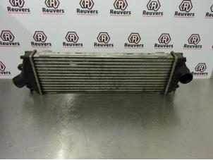 Gebruikte Intercooler Renault Trafic New (FL) 2.0 dCi 16V 90 Prijs € 40,00 Margeregeling aangeboden door Autorecycling Reuvers B.V.