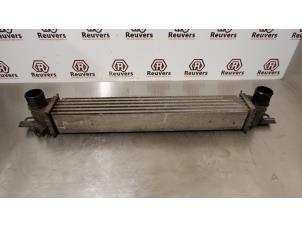 Gebruikte Intercooler Citroen Nemo (AA) 1.3 HDi 75 Prijs € 30,00 Margeregeling aangeboden door Autorecycling Reuvers B.V.