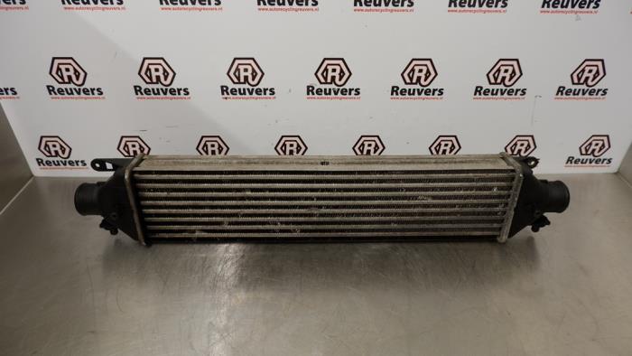 Gebruikte Intercooler Opel Combo 1.3 CDTI 16V ecoFlex Prijs € 30,00 Margeregeling aangeboden door Autorecycling Reuvers B.V.