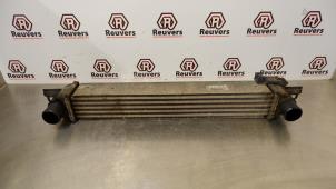 Gebruikte Intercooler Fiat Fiorino (225) 1.3 JTD 16V Multijet Prijs € 30,00 Margeregeling aangeboden door Autorecycling Reuvers B.V.