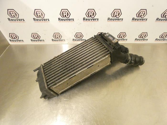 Gebruikte Intercooler Citroen Berlingo 1.6 Hdi 75 16V Phase 1 Prijs € 30,00 Margeregeling aangeboden door Autorecycling Reuvers B.V.
