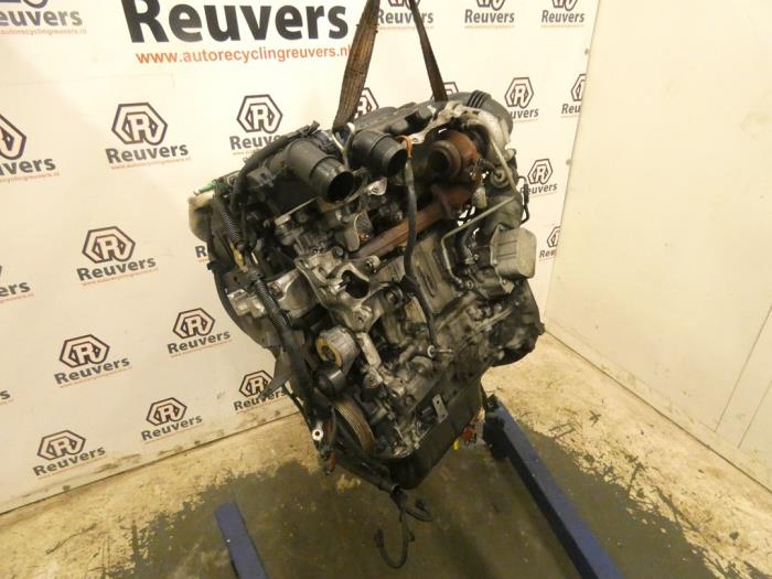 Gebruikte Motor Citroen Berlingo 1.6 Hdi 75 16V Phase 1 Prijs € 350,00 Margeregeling aangeboden door Autorecycling Reuvers B.V.