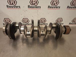 Gebruikte Krukas Volkswagen Caddy III (2KA,2KH,2CA,2CH) 1.6 TDI 16V Prijs € 120,00 Margeregeling aangeboden door Autorecycling Reuvers B.V.