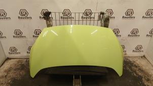 Gebruikte Motorkap Ford Ka II 1.2 Prijs € 100,00 Margeregeling aangeboden door Autorecycling Reuvers B.V.