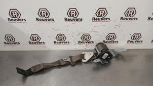 Gebruikte Veiligheidsgordel rechts-achter Dodge Journey 2.7 V6 R/T 24V FFV Prijs € 35,00 Margeregeling aangeboden door Autorecycling Reuvers B.V.