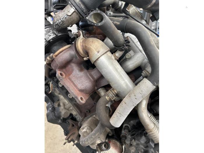 Gebruikte Motor Ford Transit Connect 1.8 Tddi Prijs € 300,00 Margeregeling aangeboden door Autosloopbedrijf Jan Pronk B.V.