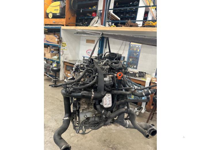 Gebruikte Motor Volkswagen Polo V (6R) 1.2 TDI 12V BlueMotion Prijs € 500,00 Margeregeling aangeboden door Autosloopbedrijf Jan Pronk B.V.