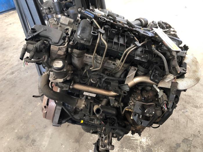 Motor Citroen Berlingo, 2008 / 2021 1.6 Hdi 75 16V Phase 1, Bestel, Diesel, 1.560cc, 55kW (75pk), FWD, DV6BUTED4; 9HT, 2008-04 / 2018-12 (Gebruikt)