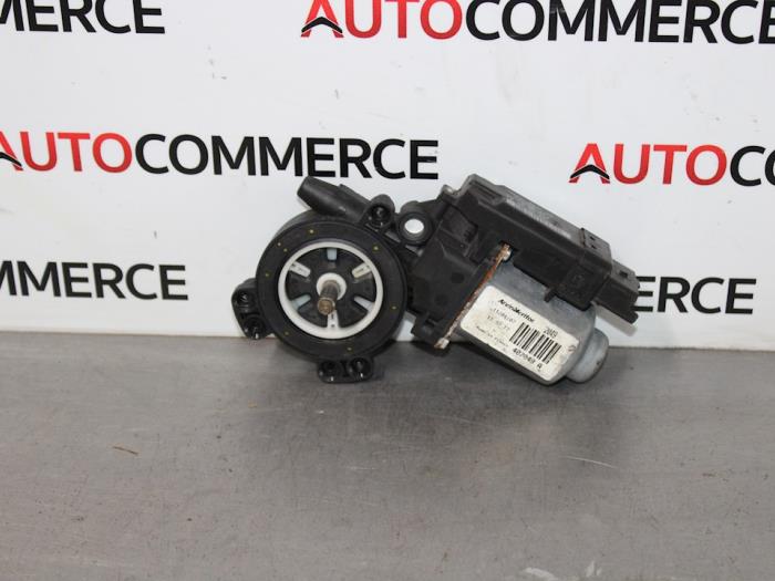 Renault Scenic - Raammotor Portier