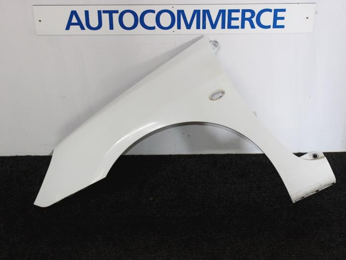 Peugeot 307 - Scherm links-voor