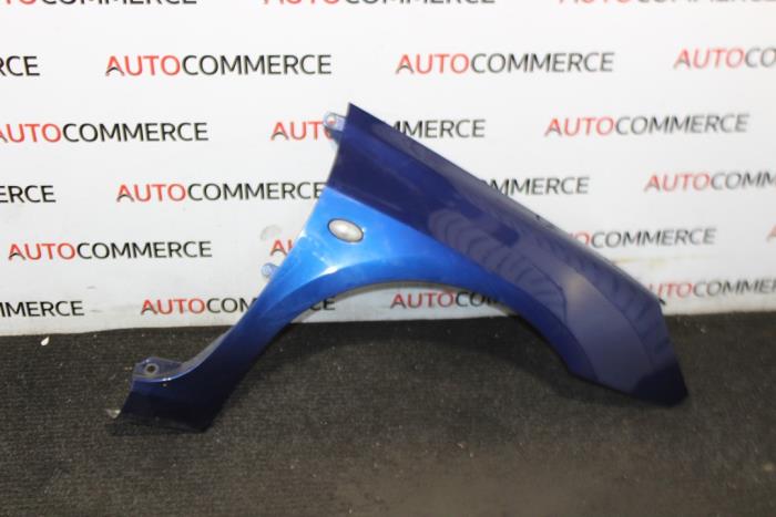 Peugeot 307 - Scherm rechts-voor
