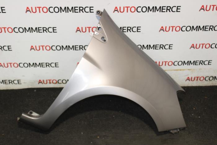Renault Clio - Scherm rechts-voor