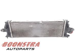 Gebruikte Intercooler Opel Vivaro 2.0 CDTI 16V Prijs € 30,19 Inclusief btw aangeboden door Boonstra Autoparts