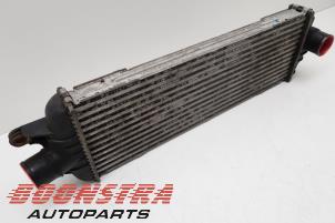 Gebruikte Intercooler Renault Trafic New (FL) 2.5 dCi 16V 135 Prijs € 30,19 Inclusief btw aangeboden door Boonstra Autoparts