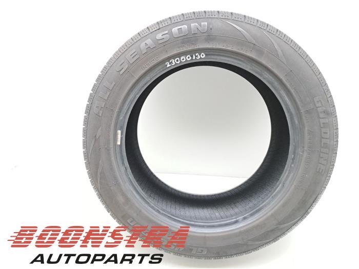 goldline 225/55 R17 101R (Summer tyre)