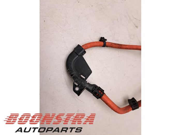 LEXUS CT 1 generation (2010-2024) Cable Harness 8212247030 21937044
