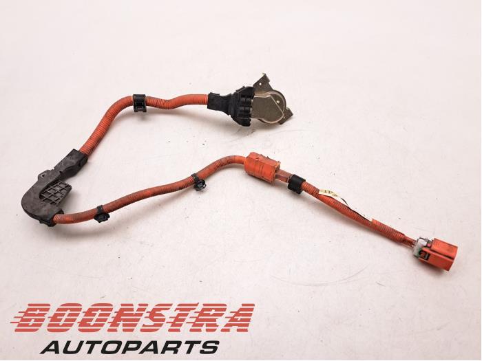 LEXUS CT 1 generation (2010-2024) Cable Harness 8212247030 21937044