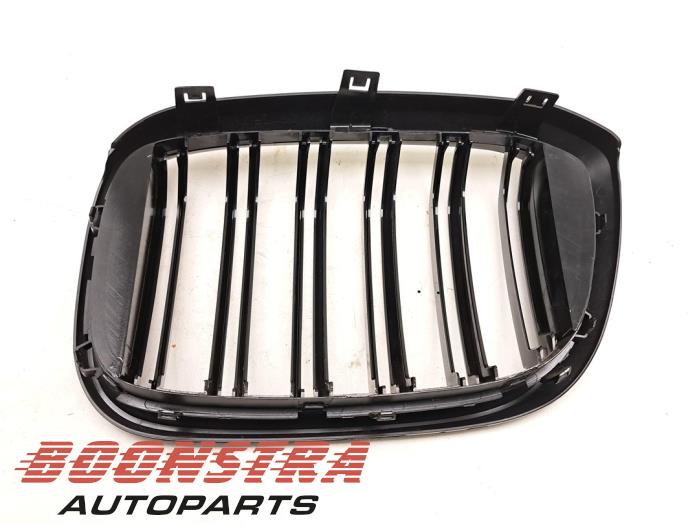 BMW X3 G01 (2017-2024) Front Right Grill 51137464920 23094308