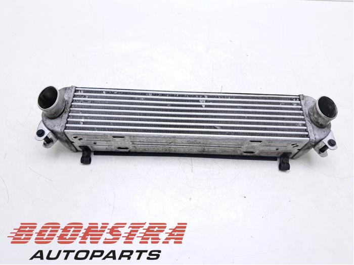 Gebruikte Intercooler Landrover Discovery III (LAA/TAA) 2.7 TD V6 Prijs € 71,33 Inclusief btw aangeboden door Boonstra Autoparts