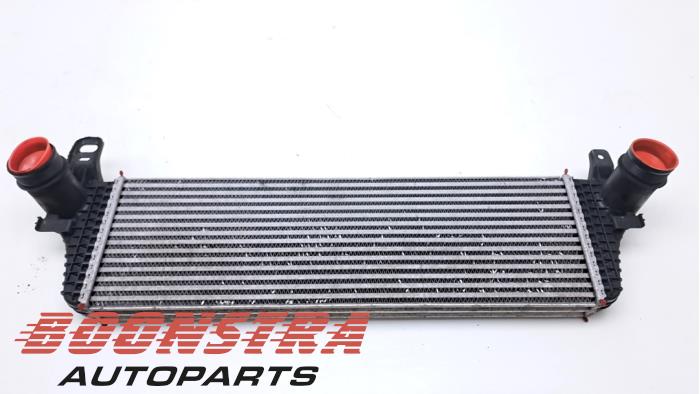 Gebruikte Intercooler Volkswagen Multivan T5 (7E/7HC/7HF/7HM) 2.0 BiTDI DRF Prijs € 84,64 Inclusief btw aangeboden door Boonstra Autoparts