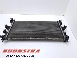 Radiateur van een Fiat Ducato (250) 2.3 D 120 Multijet 2009