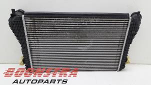 Gebruikte Intercooler Volkswagen Caddy III (2KA,2KH,2CA,2CH) 1.6 TDI 16V Prijs € 66,49 Inclusief btw aangeboden door Boonstra Autoparts