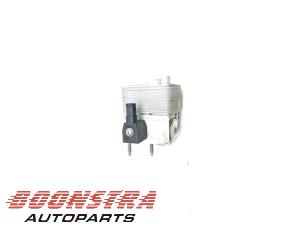Gebruikte Koeling Module Peugeot 2008 (UD/UK/UR/US/UX) e-2008 50 kWh Prijs € 29,95 Margeregeling aangeboden door Boonstra Autoparts