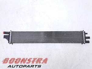 Gebruikte Intercooler Renault Master III (MA/MB/MC/MD/MH/MF/MG/MH) 2.3 dCi 135 16V FWD Prijs € 84,64 Inclusief btw aangeboden door Boonstra Autoparts