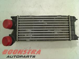 Gebruikte Intercooler Citroen Berlingo 1.6 HDi 16V 90 Phase 1 Prijs € 24,95 Margeregeling aangeboden door Boonstra Autoparts