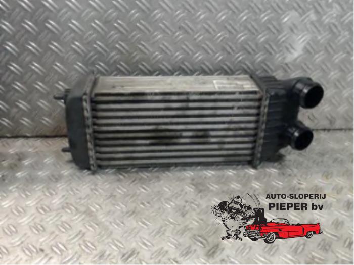 Gebruikte Intercooler Peugeot Expert (G9) 1.6 HDi 90 Prijs € 63,00 Margeregeling aangeboden door Autosloperij Pieper BV