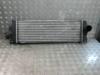 Intercooler van een Renault Trafic New (FL), 2001 / 2014 2.0 dCi 16V 90, Bestel, Diesel, 1.995cc, 66kW (90pk), FWD, M9R780; M9R782; M9R692; M9RF6; M9R630; M9RA6; M9R786, 2006-08 / 2014-06, FL90; FLAM; FLBM; FLFM; FLGM 2009