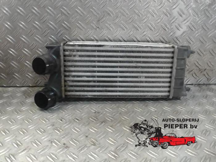 Gebruikte Intercooler Citroen Berlingo 1.6 HDi 90 Phase 1 Prijs € 42,00 Margeregeling aangeboden door Autosloperij Pieper BV