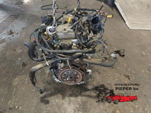 Gebruikte Motor Peugeot 206+ (2L/M) 1.1 XR,XS Prijs € 525,00 Margeregeling aangeboden door Autosloperij Pieper BV