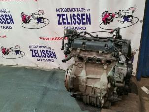 Gebruikte Motor Ford Focus 1 1.6 16V Prijs € 750,00 Margeregeling aangeboden door Zelissen V.O.F. autodemontage