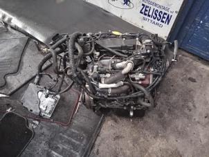 Gebruikte Motor Ford Focus 3 Wagon 1.6 TDCi Prijs € 1.650,00 Margeregeling aangeboden door Zelissen V.O.F. autodemontage