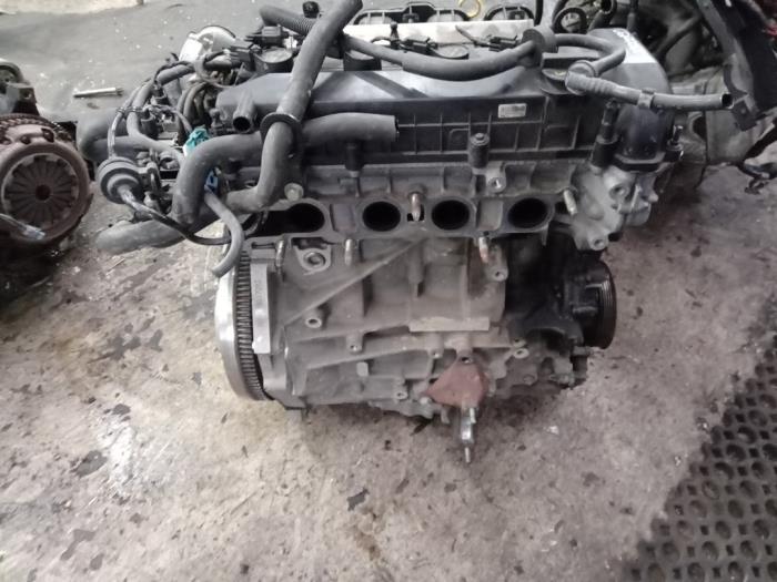 Gebruikte Motor Ford Focus 2 2.0 16V Prijs € 1.750,00 Margeregeling aangeboden door Zelissen V.O.F. autodemontage