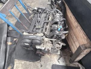 Gebruikte Motor Ford Focus 2 1.6 Ti-VCT 16V Prijs € 450,00 Margeregeling aangeboden door Zelissen V.O.F. autodemontage