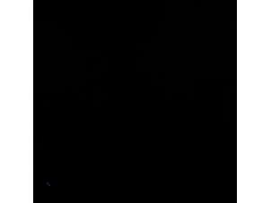 Gebruikte Licht + Raw Schakelaar Peugeot 108 1.0 12V VVT-i Prijs € 78,75 Margeregeling aangeboden door Zelissen V.O.F. autodemontage