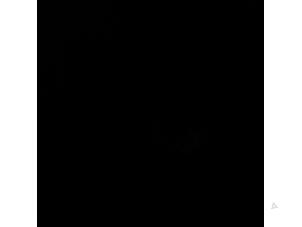 Gebruikte Hoofdremcilinder Volkswagen Crafter 2.5 TDI 30/32/35/46/50 Prijs € 63,00 Margeregeling aangeboden door Zelissen V.O.F. autodemontage