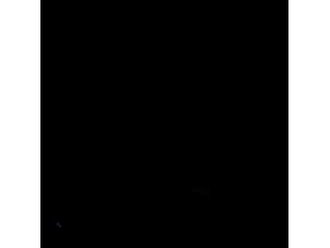 Gebruikte Buitenspiegel links Fiat Doblo (223A/119) 1.2 Prijs € 36,75 Margeregeling aangeboden door Zelissen V.O.F. autodemontage